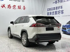 2022 Toyota Wildlander 2.0L 2WD Luxury Plus, белый — фото 15