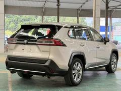 2022 Toyota Wildlander 2.0L 2WD Luxury Plus — фото 11