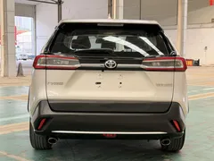 2022 Toyota Wildlander 2.0L 2WD Luxury Plus — фото 12