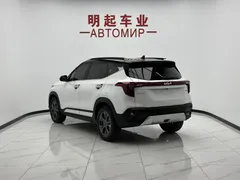 2023 Kia Seltos 1.5L IVT Luxury, белый — фото 7