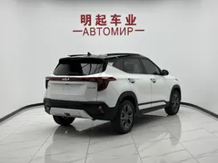 2023 Kia Seltos 1.5L IVT Luxury, белый — фото 8