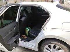 2021 Toyota Camry 2.0G Luxury, белый — фото 5