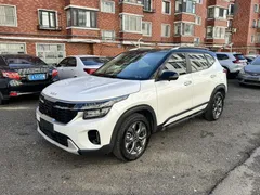 2023 Kia Seltos 1.5L IVT Luxury, белый — фото 1