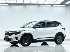 2023 Kia Seltos 1.5L IVT Luxury, белый — фото 1