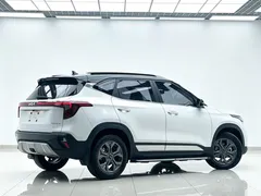 2023 Kia Seltos 1.5L IVT Luxury, белый — фото 3