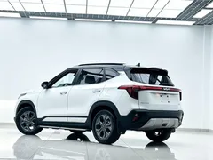 2023 Kia Seltos 1.5L IVT Luxury, белый — фото 4