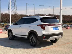 2023 Kia Seltos 1.5L IVT Luxury, белый — фото 4