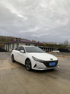2021 Hyundai Elantra 1.5L CVT LUX Premium, белый — фото 3