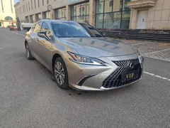 2022 Lexus ES 200 Excellence — фото 8