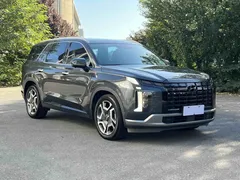 2023 Hyundai Palisade 3.5L AT 4WD Calligraphy 6-Seat — фото 8
