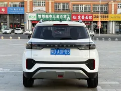 2021 Hyundai ix35 2.0L AT 2WD Leading GLS, белый — фото 8