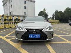 2022 Lexus ES 200 Excellence — фото 1