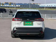 2021 Toyota Wildlander 2.0L 4WD Luxury, белый — фото 8