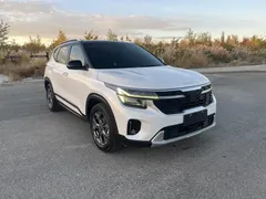 2023 Kia Seltos 1.5L IVT Luxury, белый — фото 3