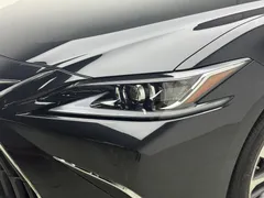 2021 Lexus ES 200 Excellence, чёрный — фото 19
