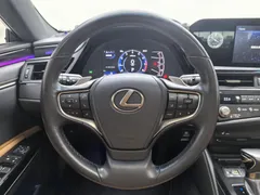2021 Lexus ES 200 Excellence, чёрный — фото 10