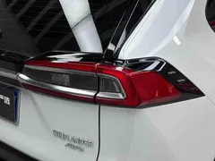 2023 Toyota Wildlander 2.0L 4WD Luxury Plus, белый — фото 11