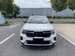 2023 Kia Seltos 1.5L IVT Luxury, белый — фото 2