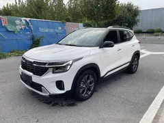 2023 Kia Seltos 1.5L IVT Luxury, белый — фото 3