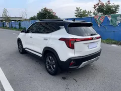 2023 Kia Seltos 1.5L IVT Luxury, белый — фото 6
