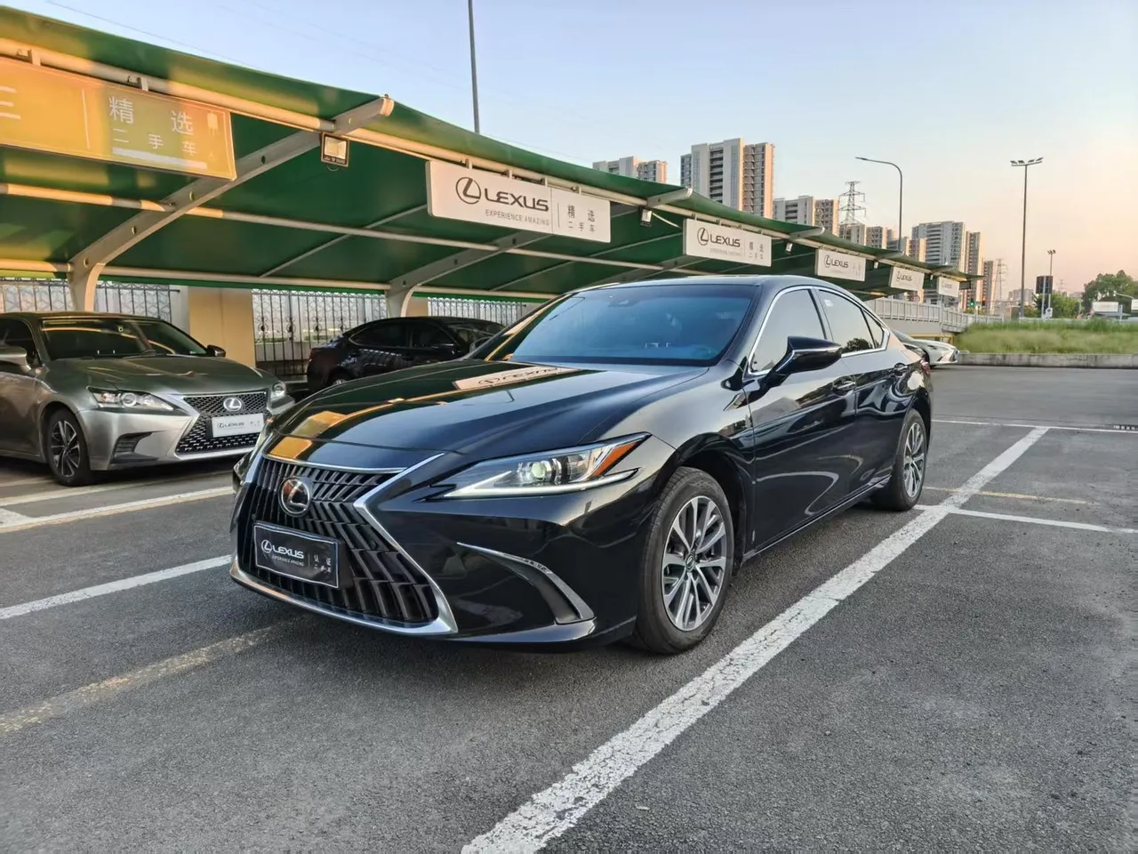 2022 Lexus ES 200 Excellence