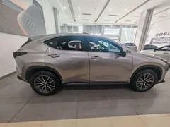 2022 Lexus NX 260 2WD — фото 3