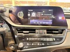 2021 Lexus ES 200 Excellence, чёрный — фото 19