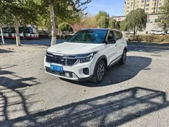 2023 Kia Seltos 1.5L IVT Luxury, белый — фото 1