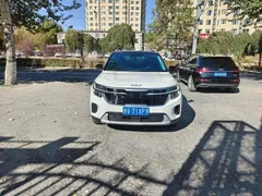 2023 Kia Seltos 1.5L IVT Luxury, белый — фото 2