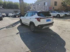 2023 Kia Seltos 1.5L IVT Luxury, белый — фото 5