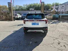 2023 Kia Seltos 1.5L IVT Luxury, белый — фото 6