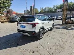 2023 Kia Seltos 1.5L IVT Luxury, белый — фото 7