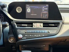 2021 Lexus ES 200 Excellence, чёрный — фото 16