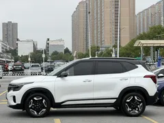2023 Kia Seltos 1.5L IVT Premium, белый — фото 5