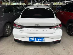 2022 Hyundai Elantra 1.5L CVT LUX Black Knight Limited Edition, белый — фото 13