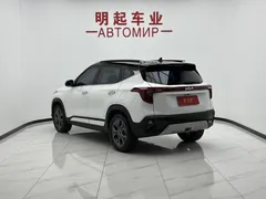 2023 Kia Seltos 1.5L IVT Luxury, белый — фото 7