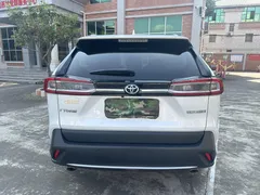 2022 Toyota Wildlander 2.0L 2WD Premium, белый — фото 7