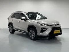 2023 Toyota Wildlander 2.0L 2WD Luxury Plus — фото 3
