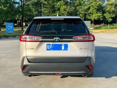 2022 Toyota Wildlander 2.0L 2WD Luxury — фото 8