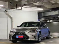 2023 Lexus ES 260 Excellence — фото 1