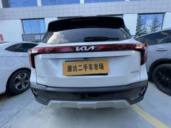 2023 Kia Seltos 1.5L IVT Luxury, белый — фото 8
