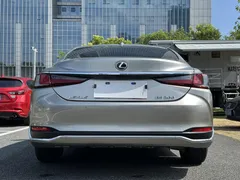2022 Lexus ES 200 Excellence — фото 11