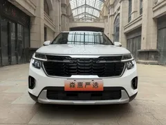 2023 Kia Seltos 1.5L IVT Luxury, белый — фото 2