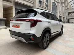 2023 Kia Seltos 1.5L IVT Luxury, белый — фото 13