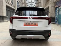 2023 Kia Seltos 1.5L IVT Luxury, белый — фото 14