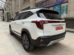 2023 Kia Seltos 1.5L IVT Luxury, белый — фото 15
