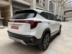 2023 Kia Seltos 1.5L IVT Luxury, белый — фото 16
