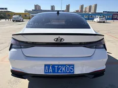 2022 Hyundai Elantra 1.5L CVT 20th SE 20th Anniversary, белый — фото 8