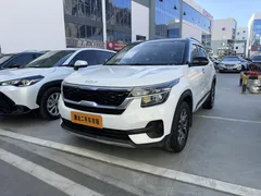 2021 Kia Seltos 1.5L CVT All-round, белый — фото 1