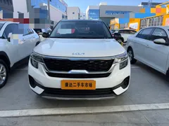 2021 Kia Seltos 1.5L CVT All-round, белый — фото 5